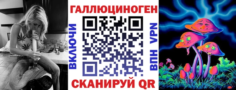 закладка Кедровый Галлюциногенные грибы мицелий